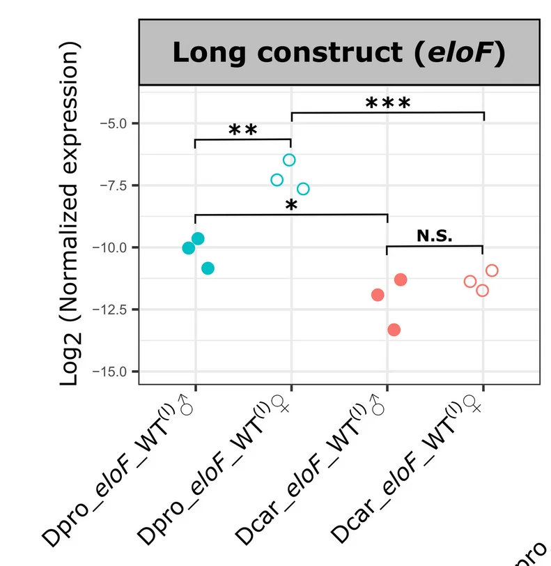 Open access visualization of Scatter Plot, Reporter Constructs, eloF Locus, D. prolongata Allele, D. carrolli Allele