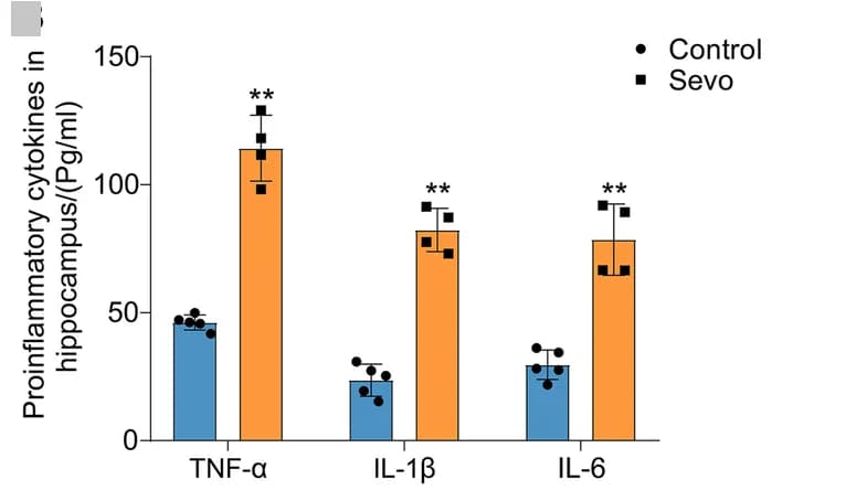 Open access visualization of Bar Plot, Error Bars, Scatter Plot, TNF-α, IL-1β