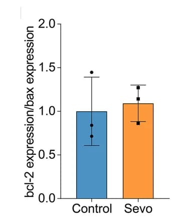Open access visualization of Bar Plot, Error Bars, bcl-2, bax, β-actin