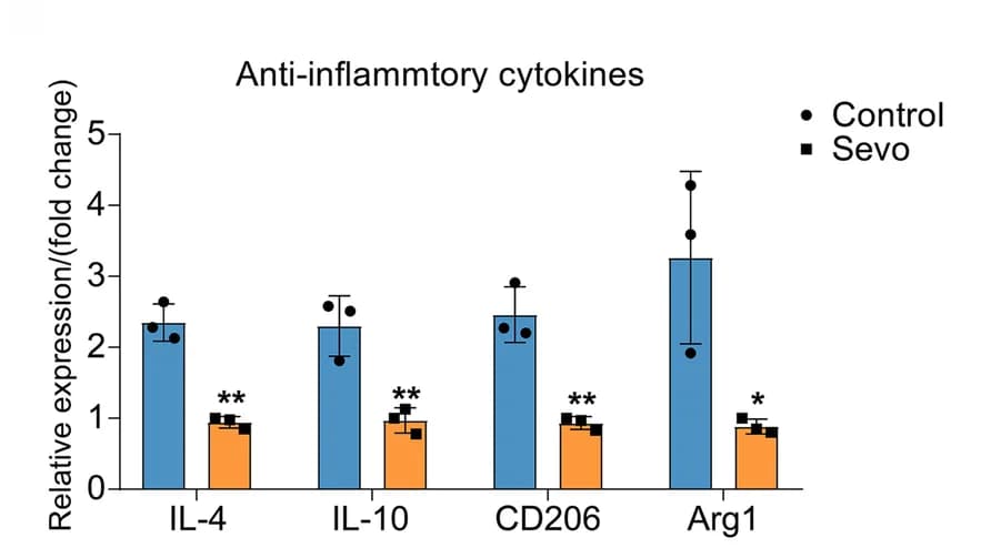 Open access visualization of Bar Plot, Error Bars, Scatter Plot, mRNA, Anti-inflammatory Phenotype Markers