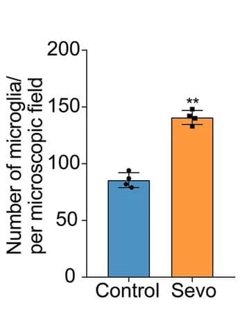 Open access visualization of Bar Plot, Error Bars, Microglia, Statistical Chart