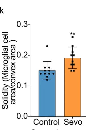 Open access visualization of Bar Plot, Error Bars, Microglia, Microglial Solidity