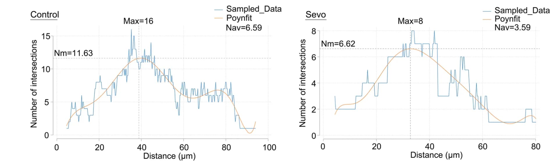 Open access visualization of Line Plot, Line Step, Polynomial Fit Curve, Intersections, Cell Nucleus