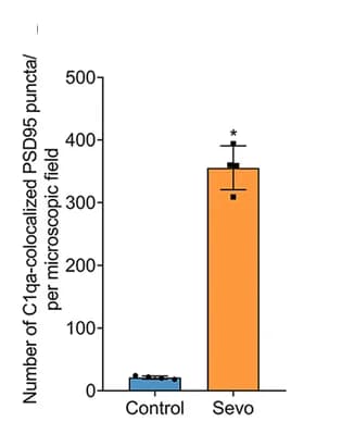 Open access visualization of Bar Plot, Error Bars, C1qa, PSD95, Synapse