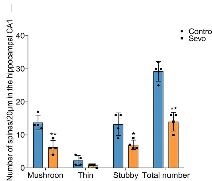Open access visualization of Bar Plot, Error Bars, Clustered, Dendritic Spines, Hippocampus
