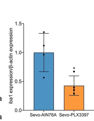 Open access visualization of Bar Plot, Error Bars, Statistics, iba1, Expression