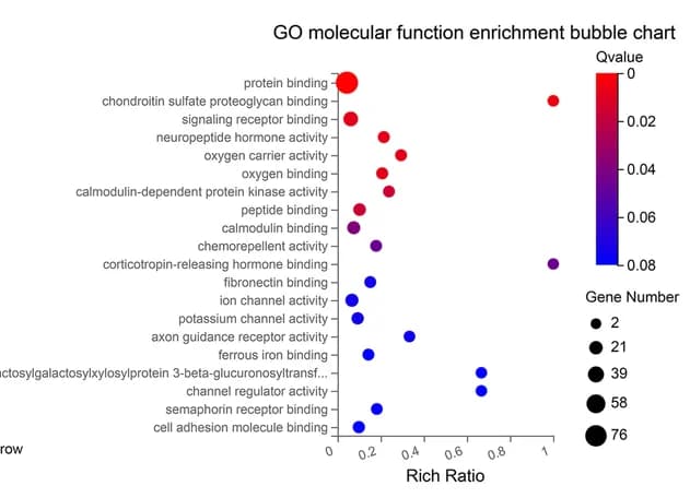 Open access visualization of Bubble Plot, GO Molecular Function, Enrichment Analysis, Bubble Chart