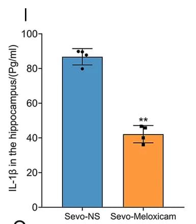 Open access visualization of Bar Plot, Error Bars, Neuroinflammatory Inhibition, IL-1β, Hippocampus