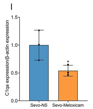 Open access visualization of Bar Plot, Error Bars, Neuroinflammatory Inhibition, C1qa, Hippocampus