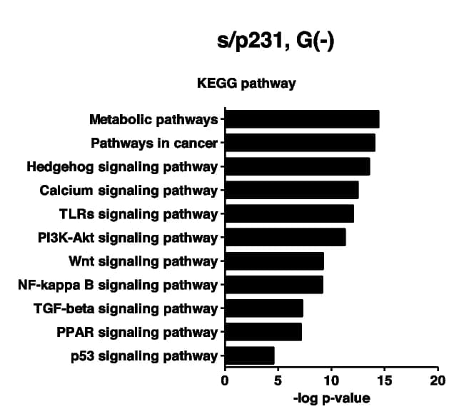 Open access visualization of Bar Plot, Pathways, Upregulation, Cells, Glucose Deprivation