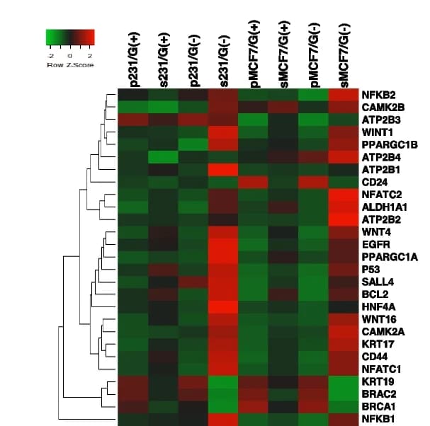 Open access visualization of Heatmap, Clustered, RNA-Seq, Gene Expression, Target Genes
