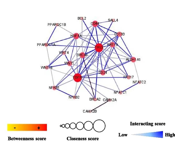 Open access visualization of Network, Pathway, Protein-Protein Interaction, Network Analysis, Functional Enrichment