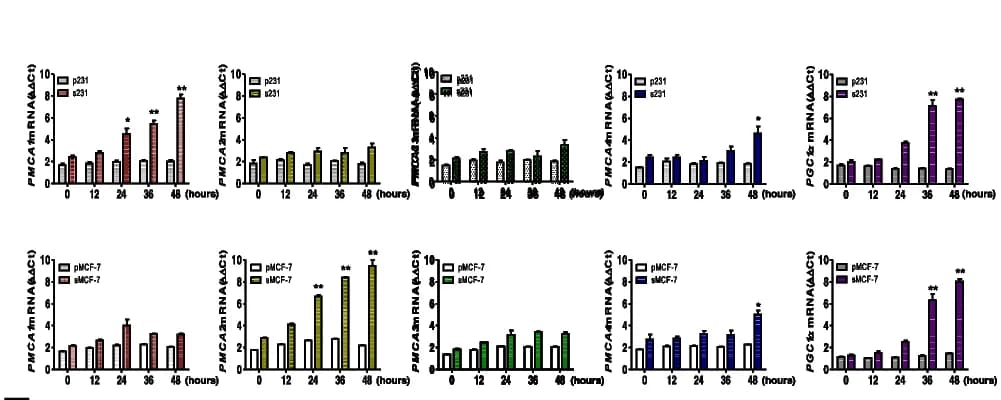 Open access visualization of Bar Plot, Error Bars, Clustered, qRT-PCR, Parental Cells