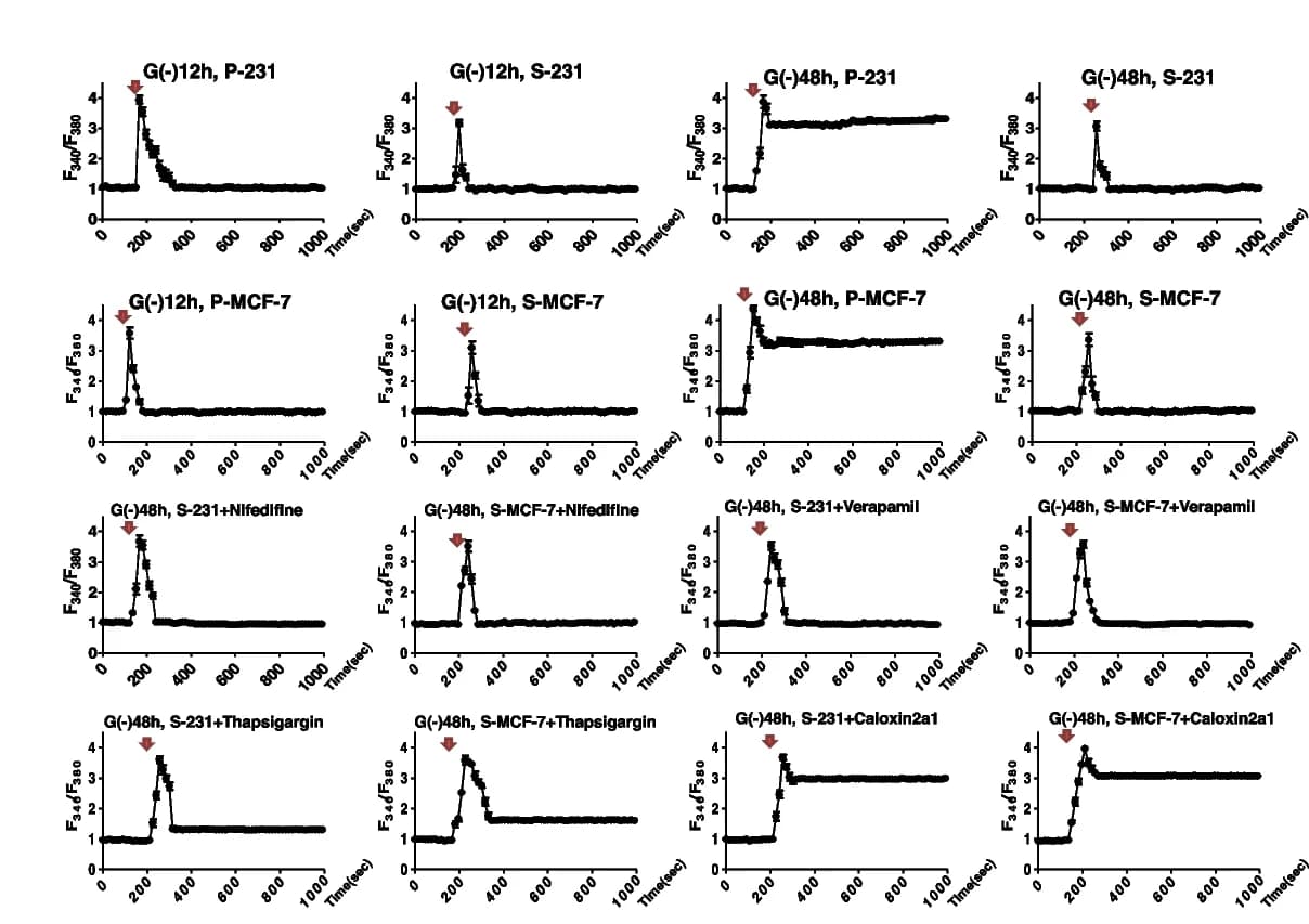 Open access visualization of Line Plot, Error Bars, Cytosolic Free Calcium, Calcium Channel Blockers, Nifedipine