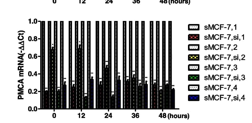 Open access visualization of Bar Plot, Error Bars, Clustered, qRT-PCR, mRNA expression