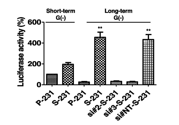 Open access visualization of Bar Plot, Error Bars, Dual-Luciferase Reporter Assay, HNF4alpha, NFkappaB