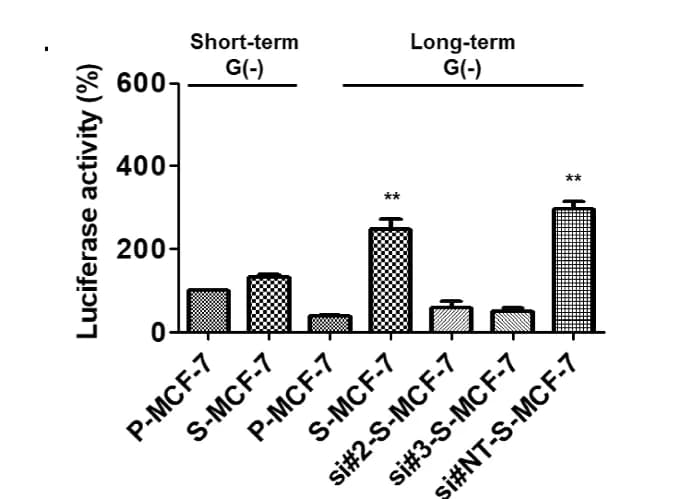 Open access visualization of Bar Plot, Error Bars, Dual-Luciferase Reporter Assay, HNF4alpha, NFkappaB