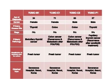 Open access visualization of Table Image, Patient-derived subtypes, Cancer cell lines