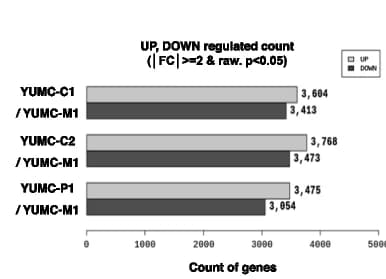 Open access visualization of Bar Plot, Clustered, Gene variance, Drug-resistant cancer cells, Drug-sensitive cancer cells
