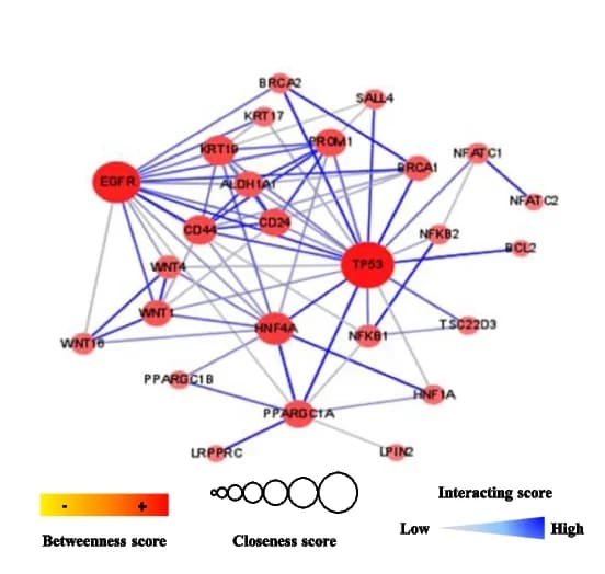 Open access visualization of Network, Pathway, Protein-protein interaction, Functional enrichment analysis, PGC1