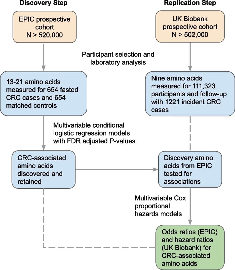 Open access visualization of Workflow, Flowchart, Study Design, Colorectal Cancer, CRC