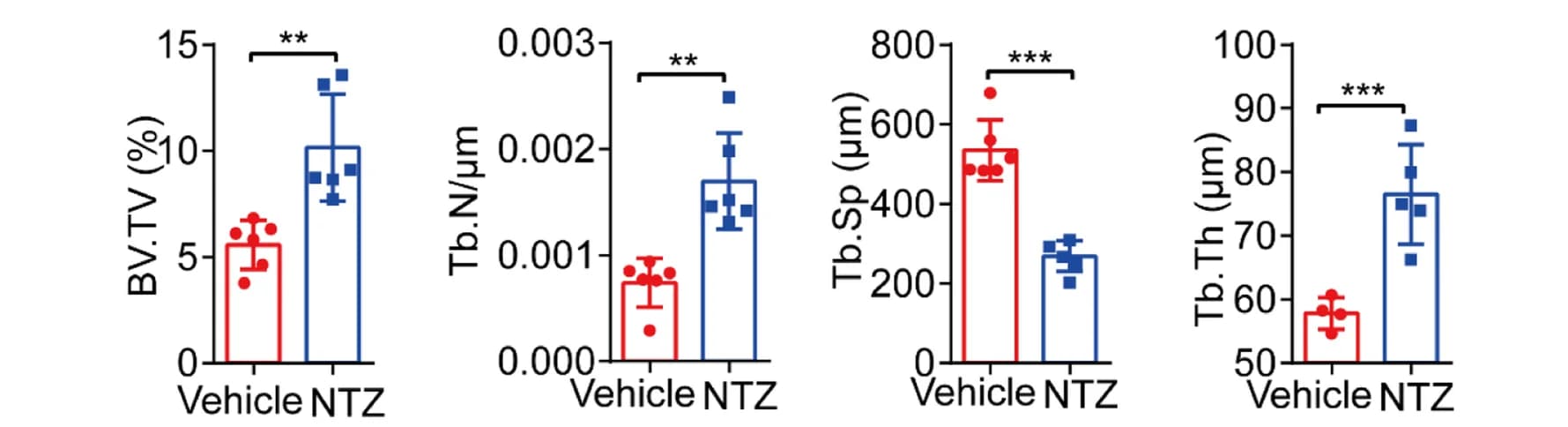 Open access visualization of Bar Plot, Error Bars, Bone Microstructure, Bone Volume, Trabecular Number