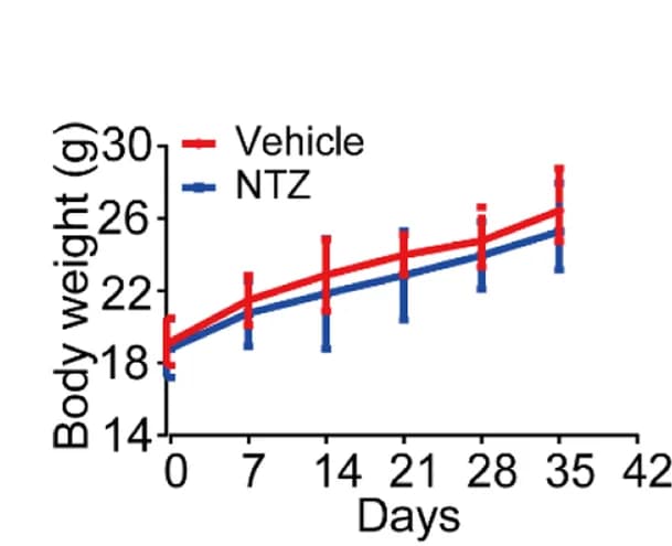 Open access visualization of Line Plot, Error Bars, Body Weights, Treatment, Nitazoxanide