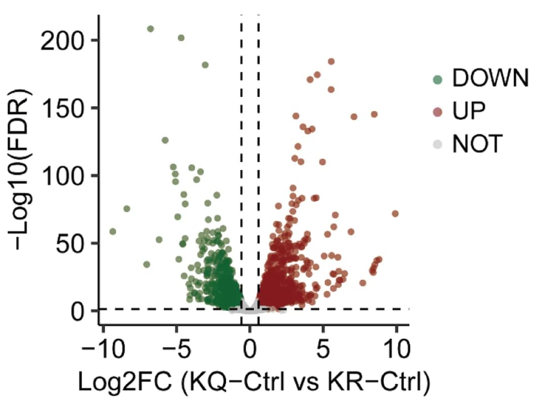 Open access visualization of Volcano Plot, Scatter Plot, Volcano Plots, Gene Expression Profiles, KLF5 K369Q