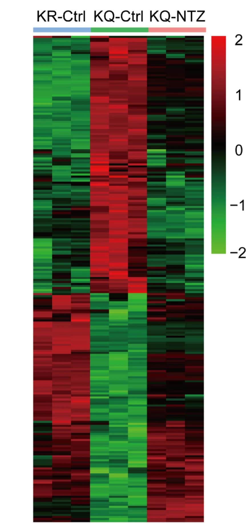 Open access visualization of Heatmap, Differentially Expressed Genes, Log2 Fold Changes