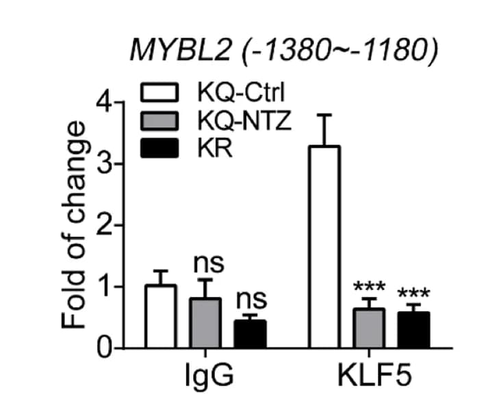 Open access visualization of Bar Plot, Error Bars, Clustered, NTZ, Ac-KLF5