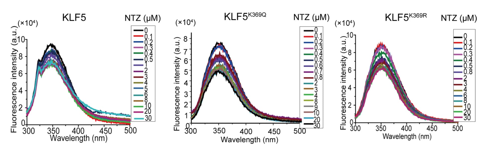 Open access visualization of Line Plot, Density Plot, KLF5, KLF5 K369Q, KLF5 K369R