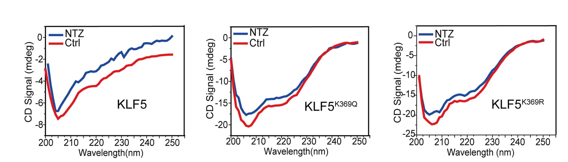 Open access visualization of Line Plot, Circular dichroism, KLF5, KLF5 K369Q, KLF5 K369R