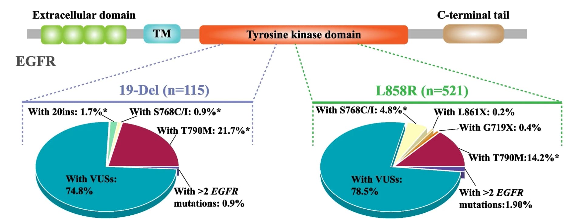 Open access visualization of Pie Chart, Illustration, EGFR Mutation, Compound EGFR Mutations, 19-Del