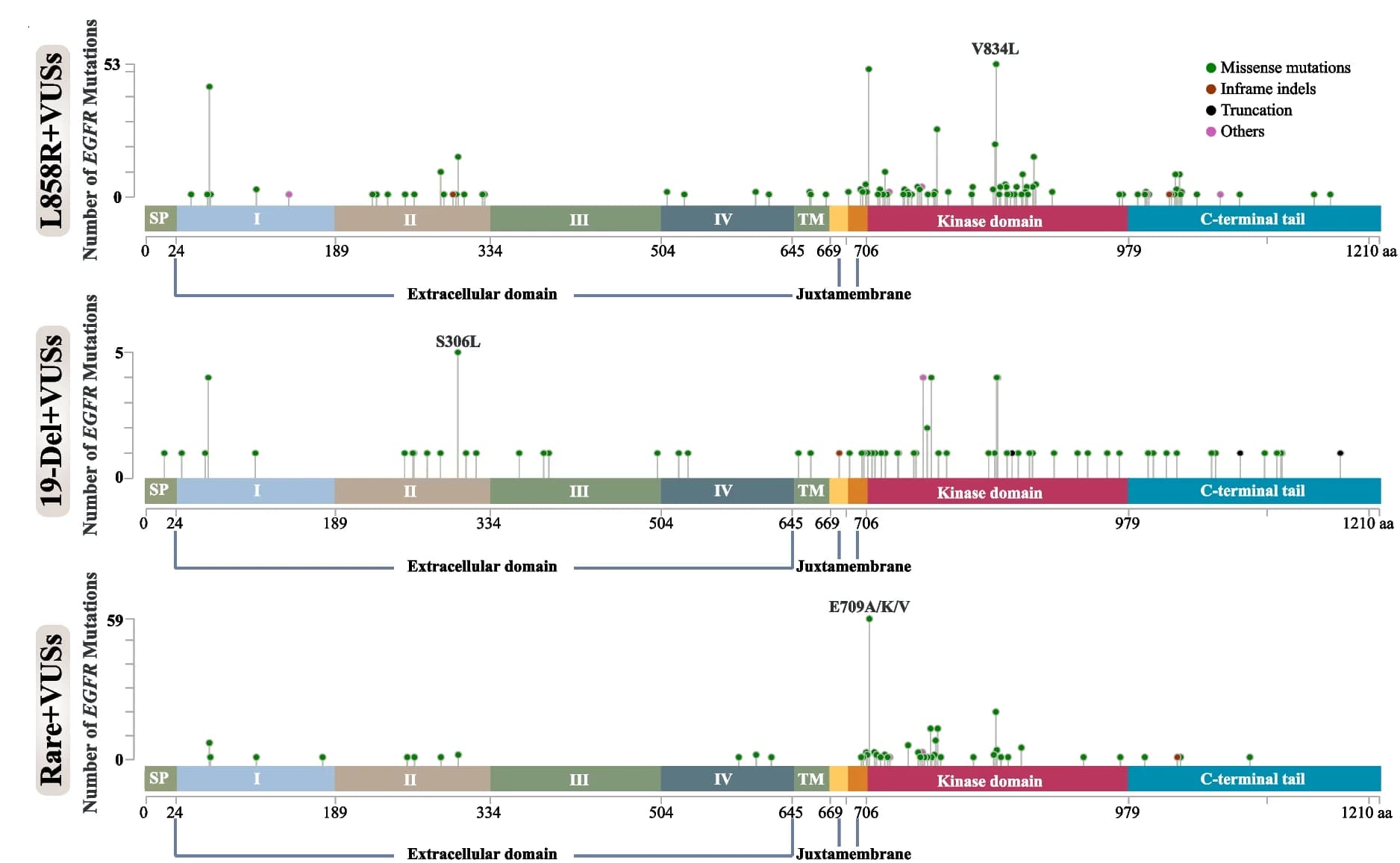 Open access visualization of Scatter Plot, EGFR, VUS, Compound EGFR Mutations, Lollipop Plots