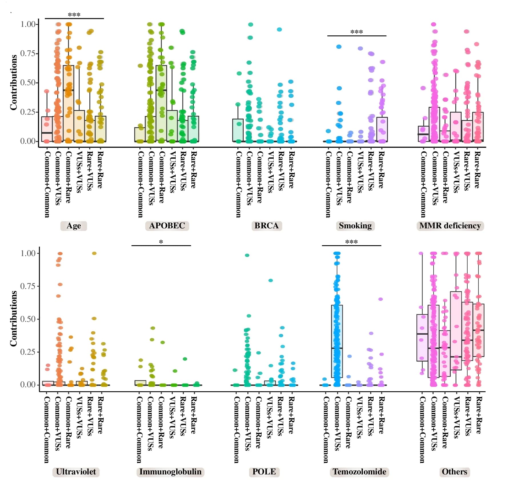 Open access visualization of Box Plot, Scatter Plot, Raincloud Plot, Mutational Signature, Compound EGFR Mutations
