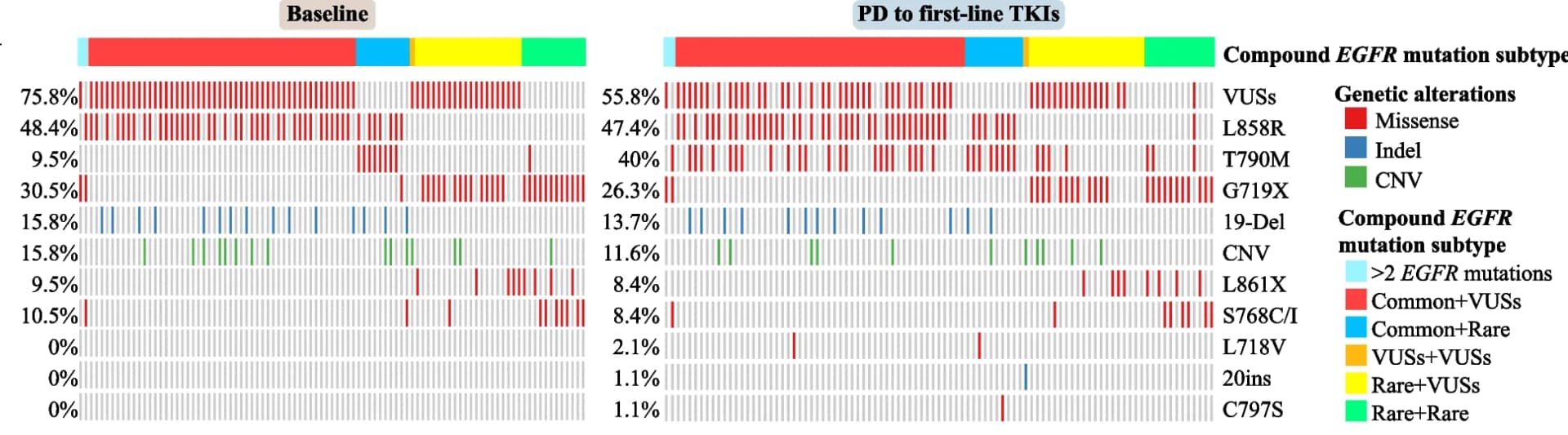 Open access visualization of Stacked Bar Plot, EGFR mutation, Baseline samples, Progressive disease samples, Oncoprint