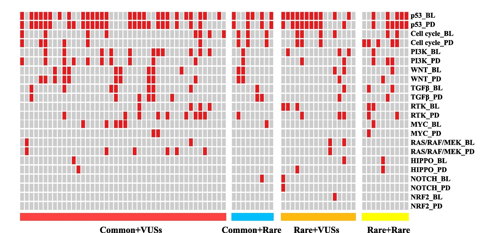 Open access visualization of Heatmap, Signaling pathways, Baseline samples, Progressive disease samples, EGFR mutation subtypes