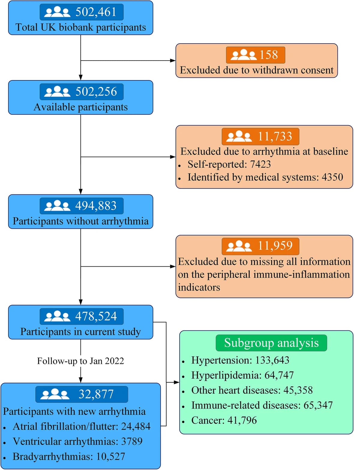 Open access visualization of Workflow, Flowchart, UK Biobank, Participants, Study Design