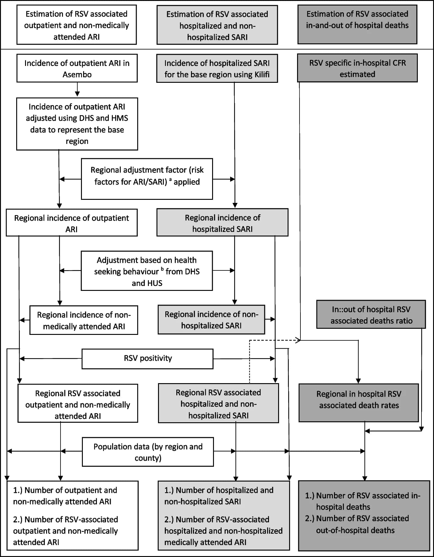 Open access visualization of Workflow, Flowchart, Flow Chart, RSV, Disease Burden