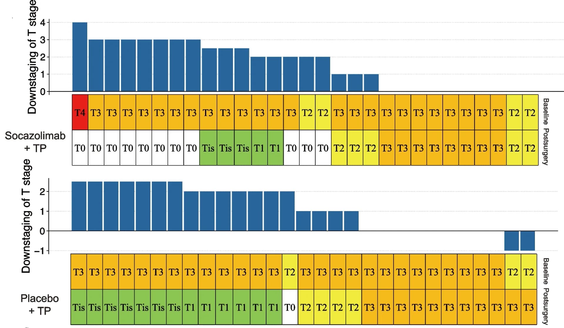 Open access visualization of Bar Plot, T Stage, N Stage, Socazolimab, Placebo