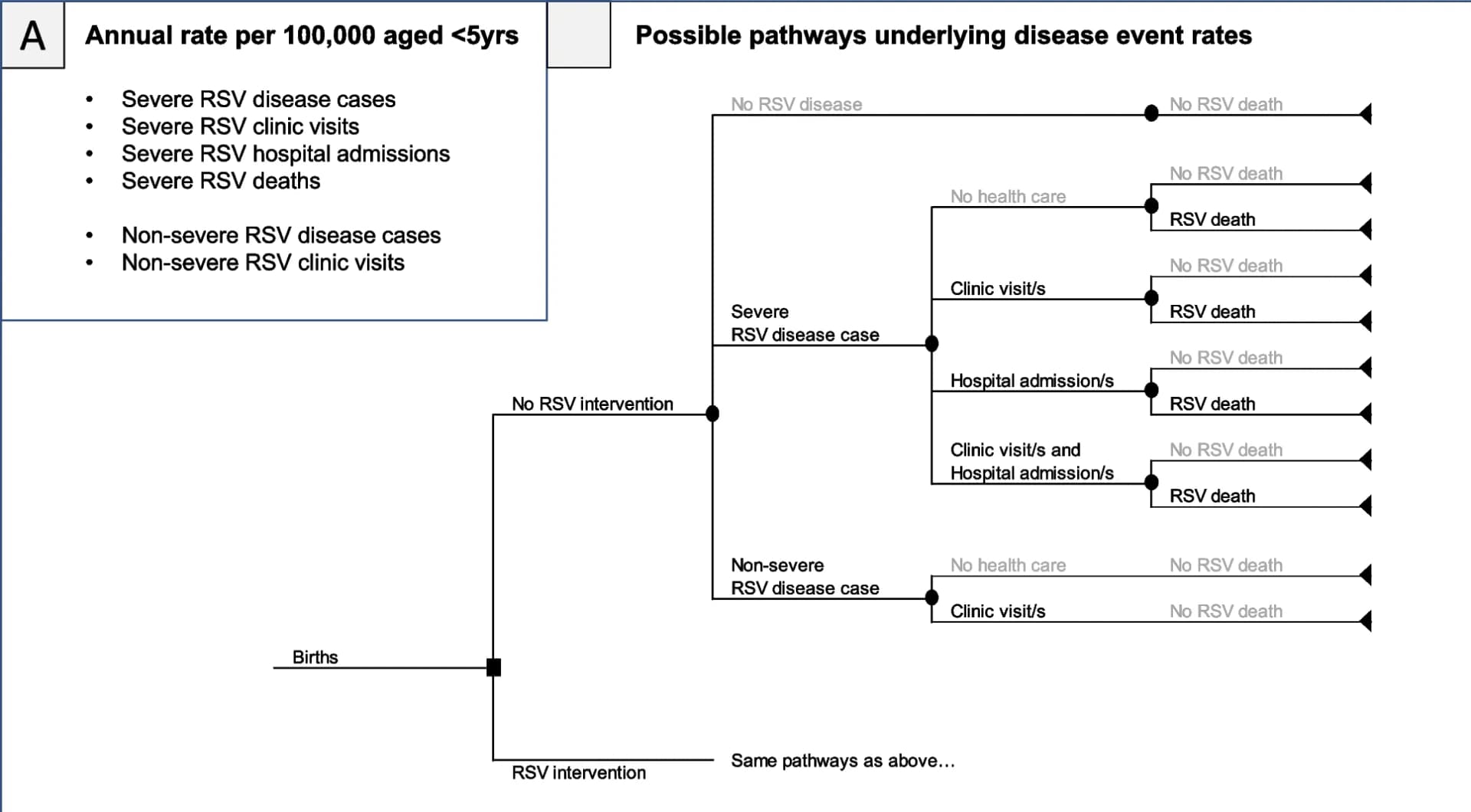 Open access visualization of Flowchart, RSV Disease, Disease Event Rates, Mortality, Hospital Admissions