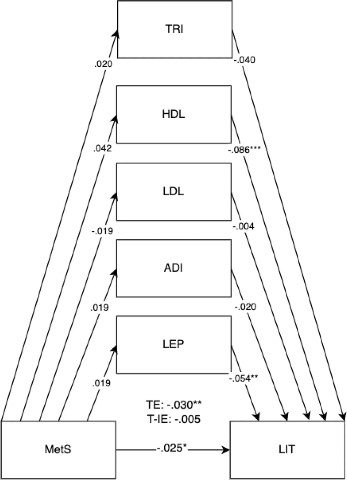 Open access visualization of Pathway, Mediation Model, Metabolic Syndrome, Child Literacy, Cord Blood