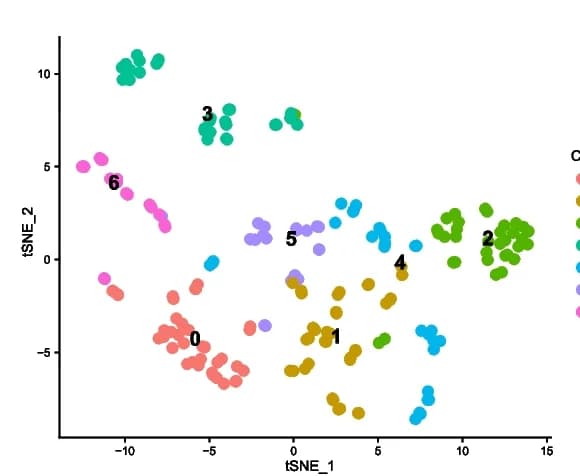 Open access visualization of Scatter Plot, UMAP, PCA, Transcriptome, TKI
