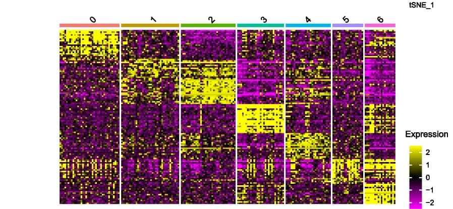 Open access visualization of Heatmap, Gene Markers, Cluster