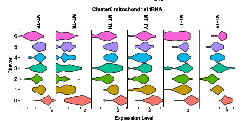 Open access visualization of Violin Plot, Mitochondrial tRNA, Cluster