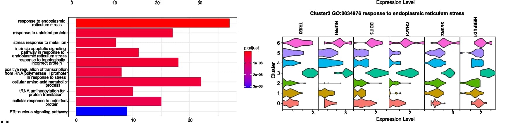 Open access visualization of Bar Plot, Violin Plot, Biological Processes, Gene Markers, Cluster