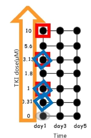Open access visualization of Scatter Plot, Transcriptome data, Drug treatments, Doses, TKIs