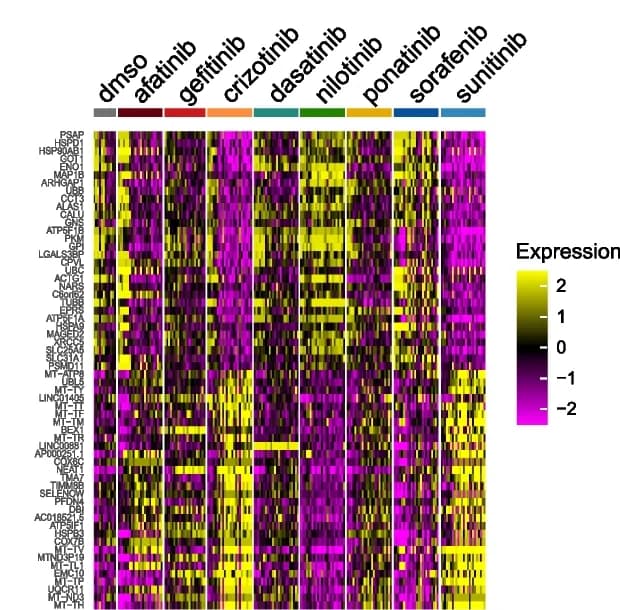 Open access visualization of Heatmap, Gene expression, PC1, PC2, Drugs