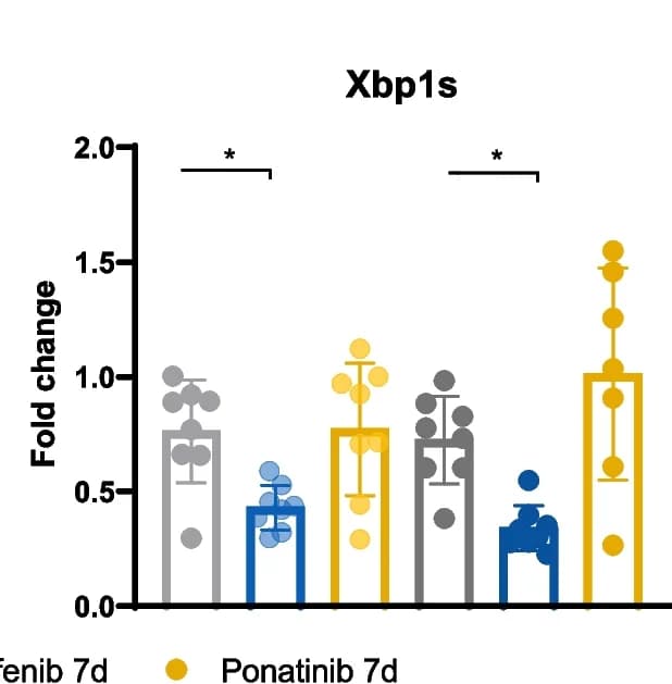 Open access visualization of Bar Plot, Error Bars, Ddit3, Rat Left Ventricles, Sorafenib