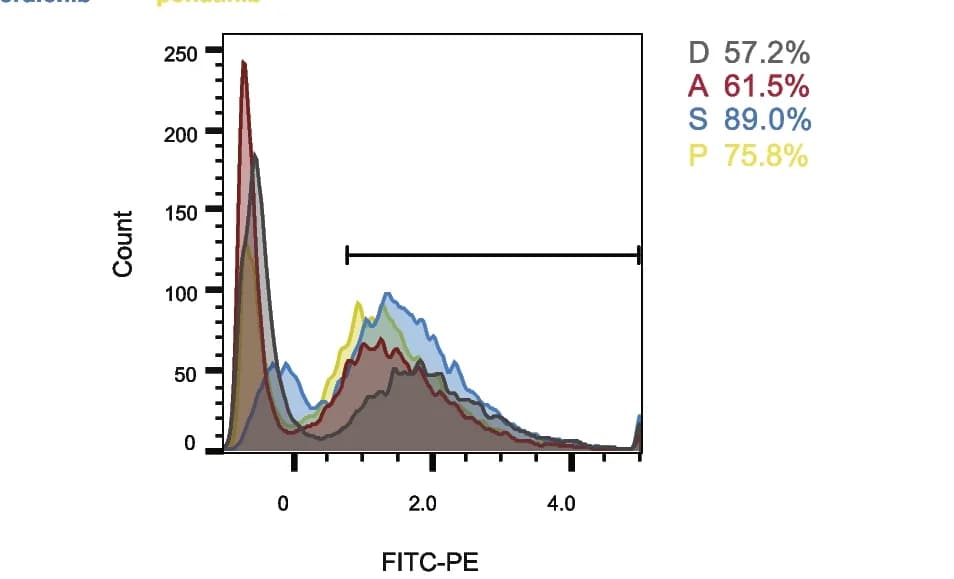 Open access visualization of Line Plot, Density Plot, Fluorescence Intensity, C11-bodipy 581/591, NRCMs